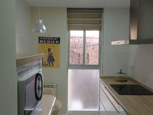 Kitchen of Flat for rent in Centro