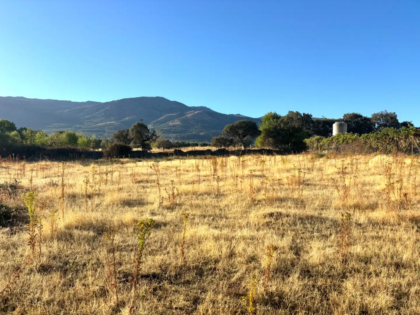 Casa o xalet en venda en Zarza de Granadilla
