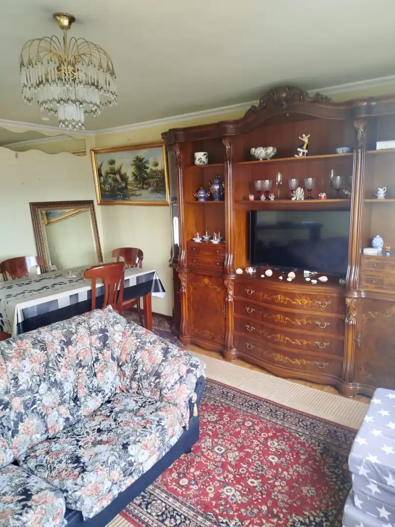 Sala de estar de Piso de alquiler en Vigo  con Calefacción, Amueblado y Horno
