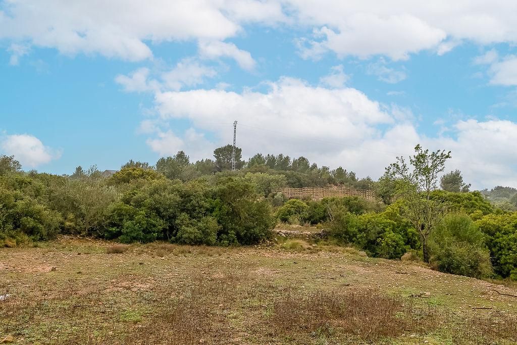 Grundstücke zum verkauf in Cheste