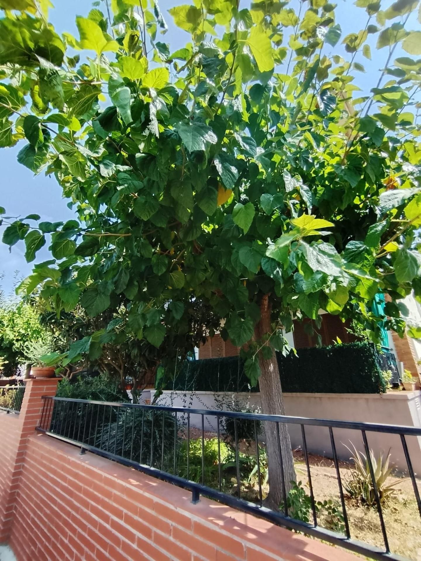 Garden of Flat for sale in Calafell  with Air Conditioner, Heating and Terrace