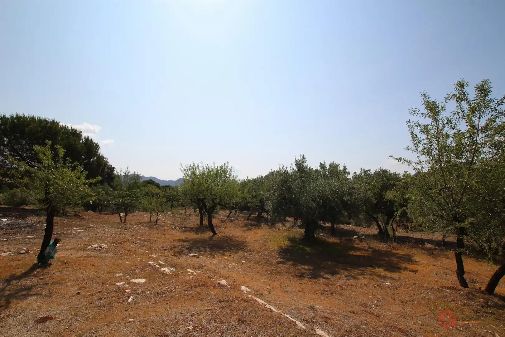 Maison rustique à vendre à Albuñuelas, imagen 19