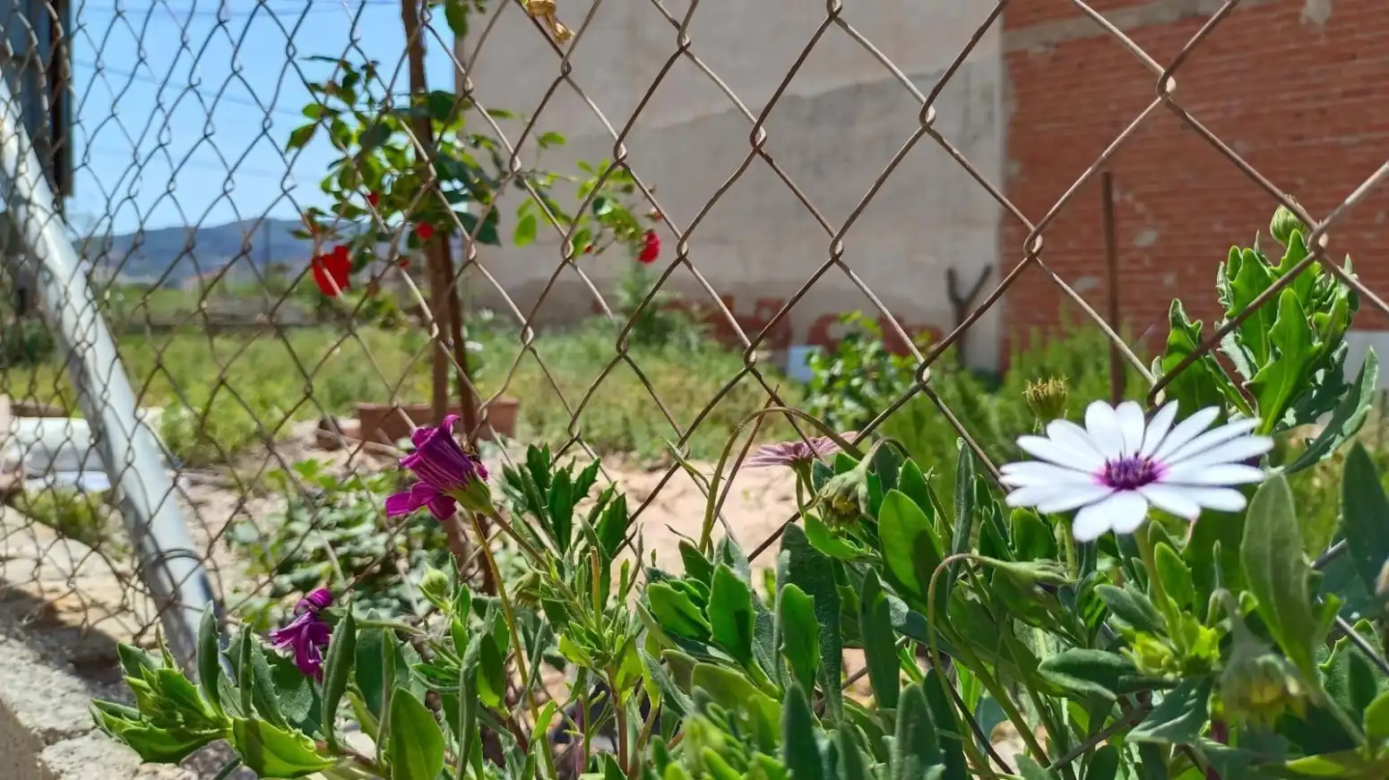 Jardín de Terreno en venta en Murcia