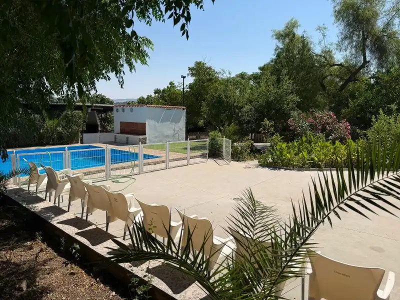 Piscina de Finca rústica en venta en Lucena