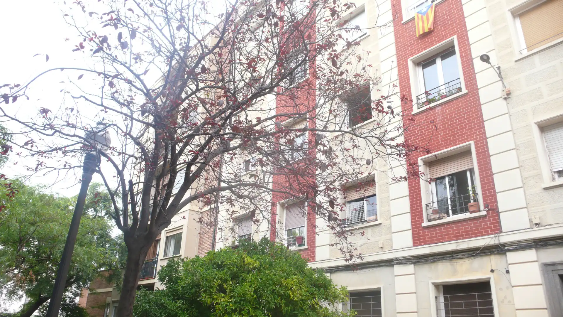 Vista exterior de Pis en venda en Barcelona amb Aire condicionat, Parquet i Forn