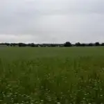 Rural land for sale in Topas, imagen 18