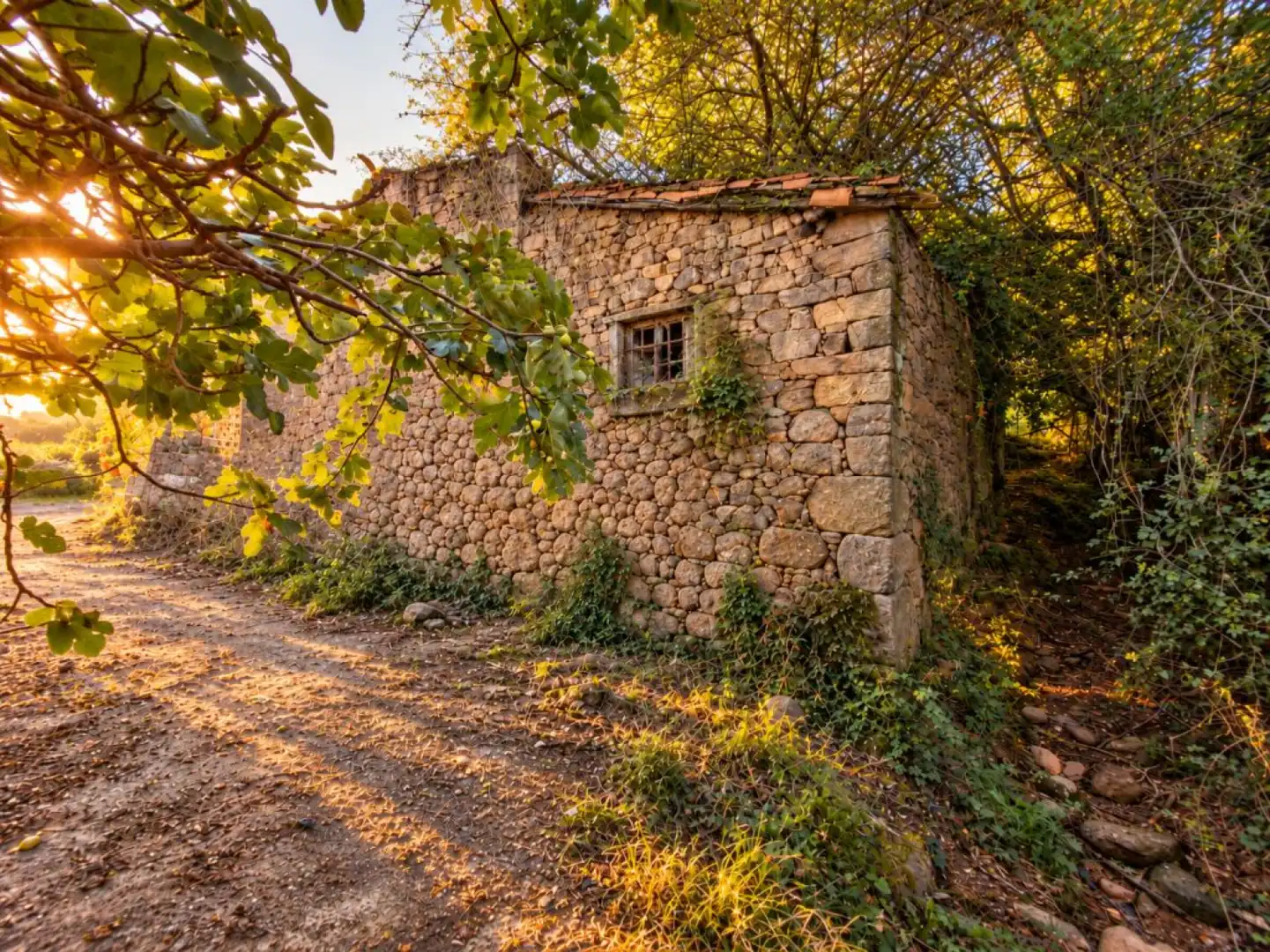 Casa aparellada amb jardí en venda a Coo - Bº Coo Canal 186, imagen 6