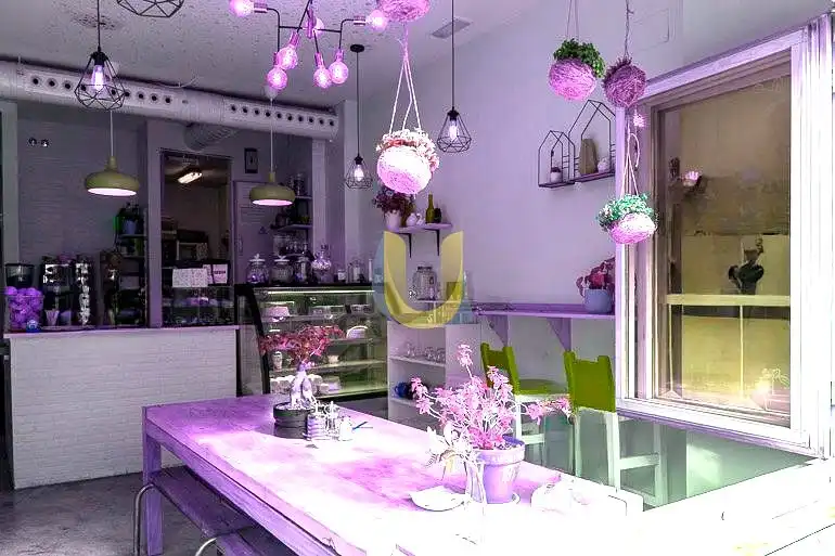 Business premises for transfer in Centro