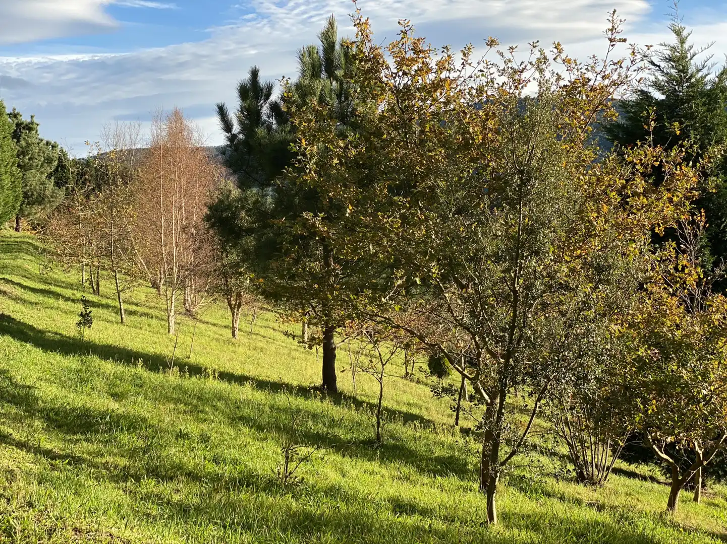 Edificio en venta en Luarca - Camino de Portizuelo, Valdés - Luarca