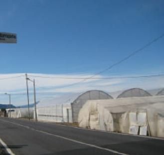 Exterior view of Land for sale in Sueca