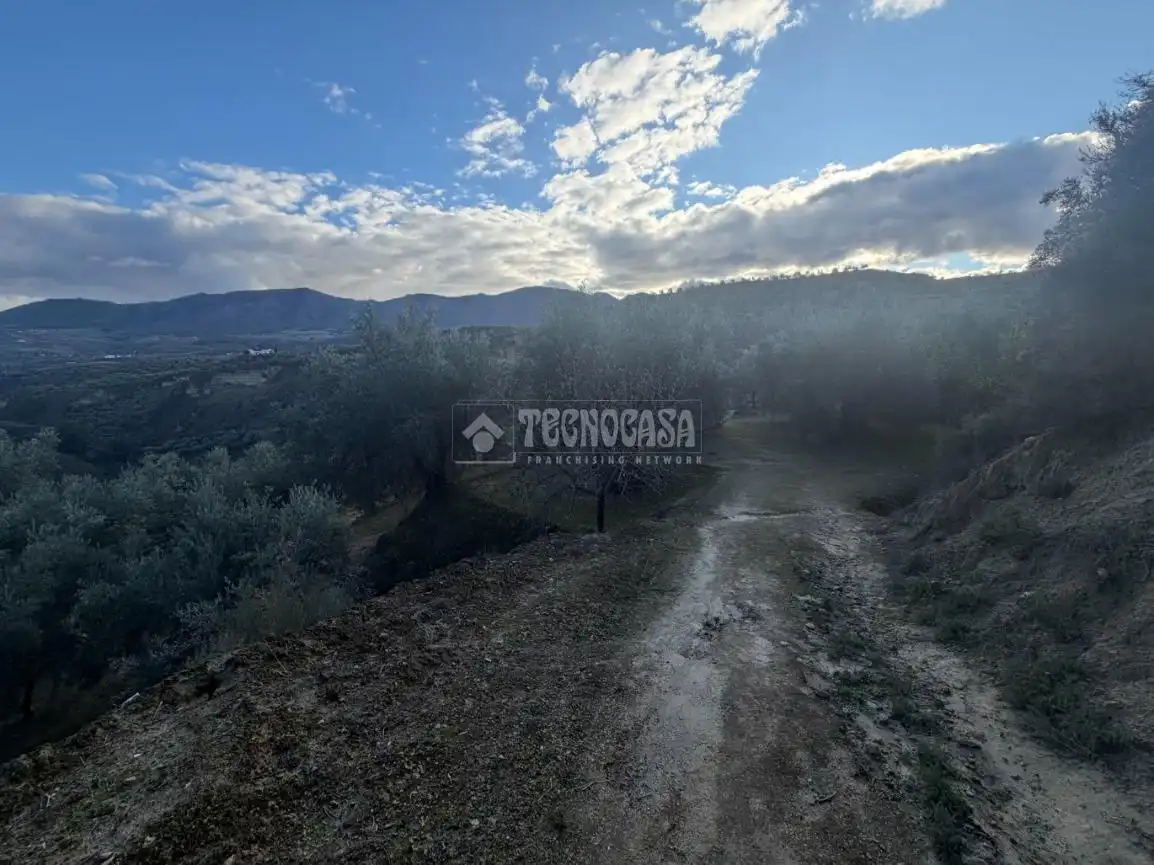Terreno rustico in vendita a El Valle, imagen 6