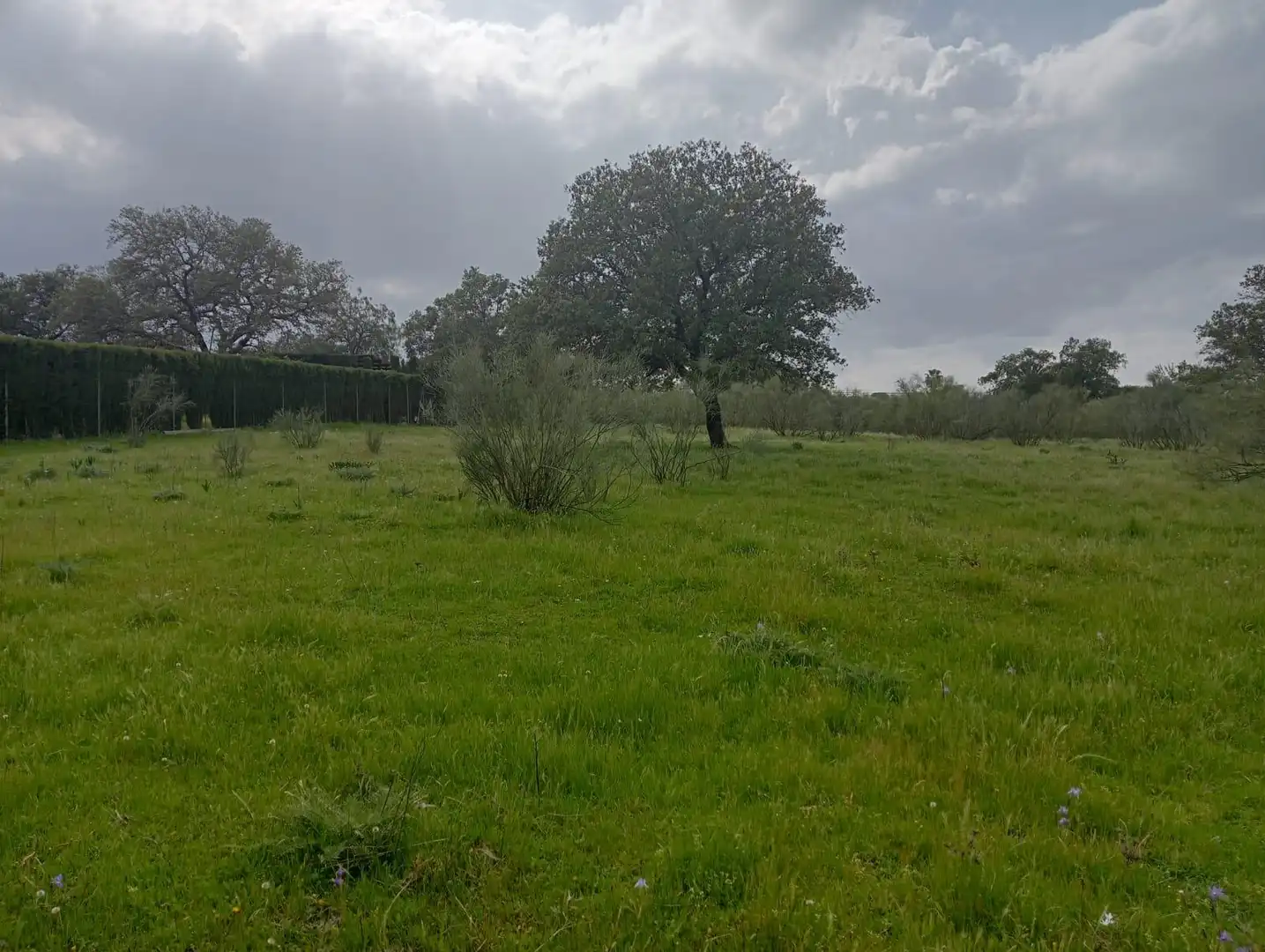 Grundstücke und Bauplätze zum Verkauf in Castilblanco de los Arroyos, imagen 2