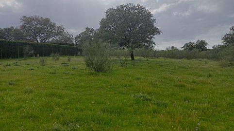 Magnífica parcela urbana en la Urb. Sierra Norte  Castilblanco de los Arroyos!, imatge 2