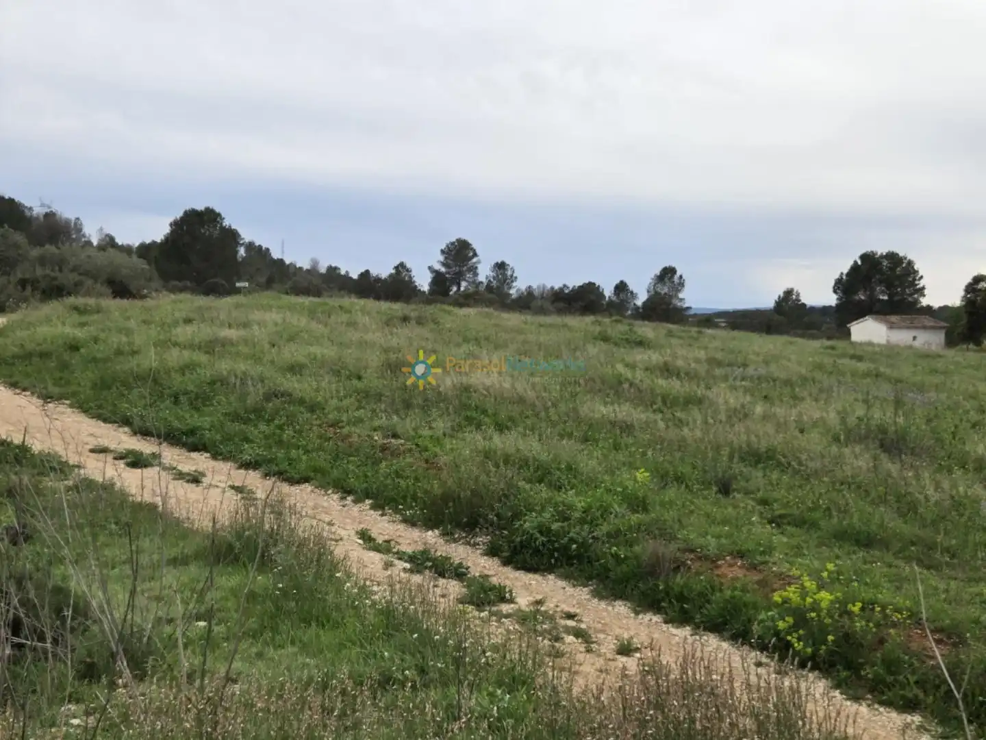 Terreno en venta en Benigànim