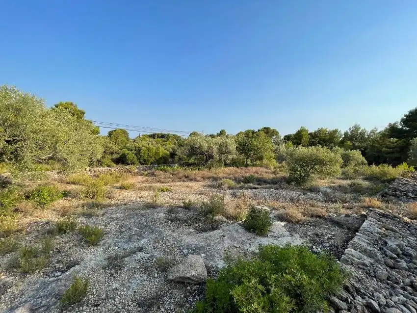 Terreno residencial en venta en Poligono 63, imagen 3