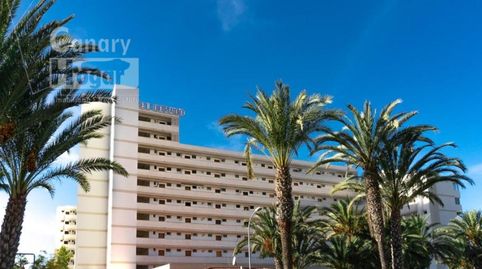 Estudio Totalmente Reformado en Playa de las Américas  Edificio El Dorado, imagen 3
