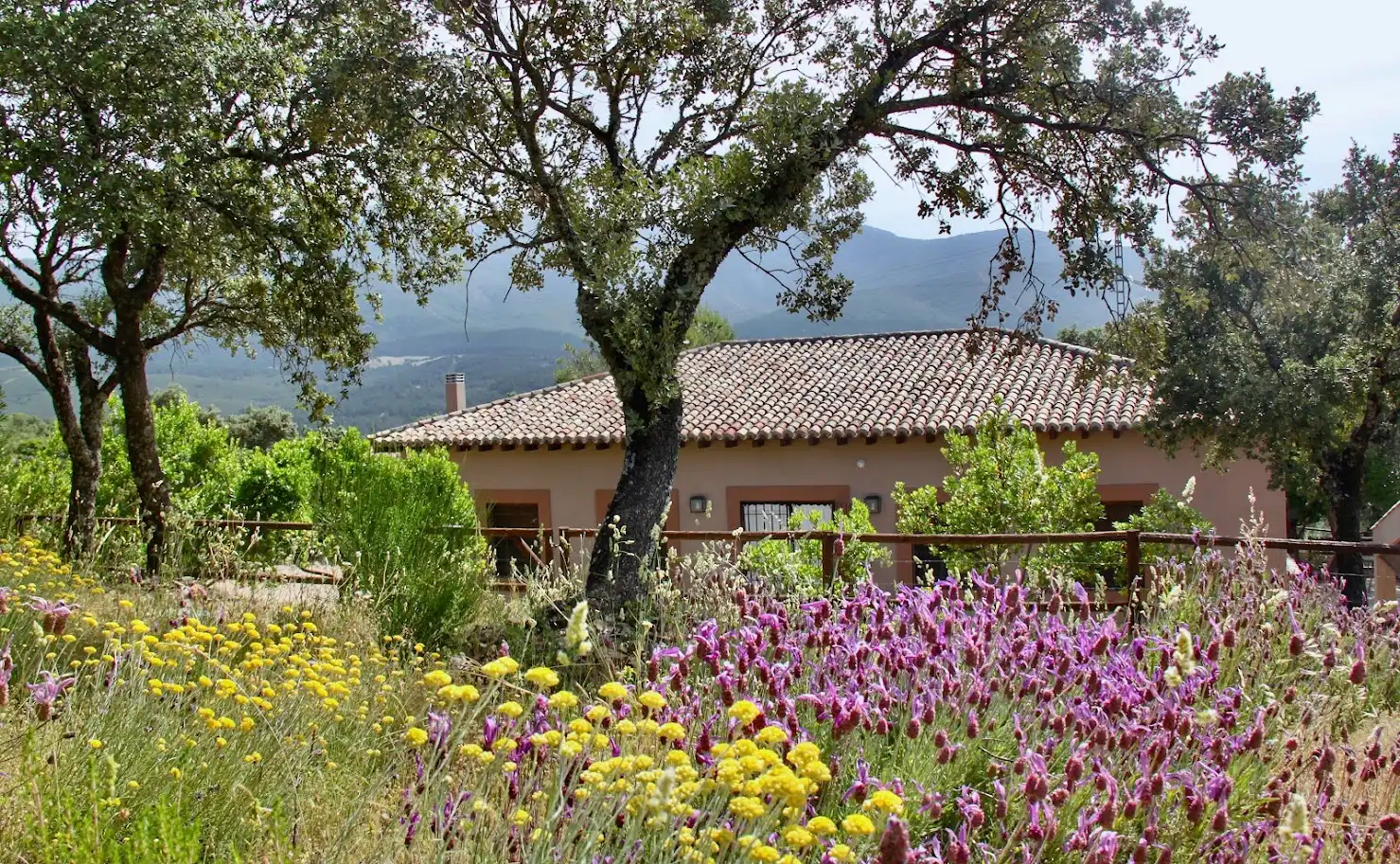 Jardín de Casa o chalet en venta en Los Navalucillos con Aire acondicionado, Calefacción y Jardín privado