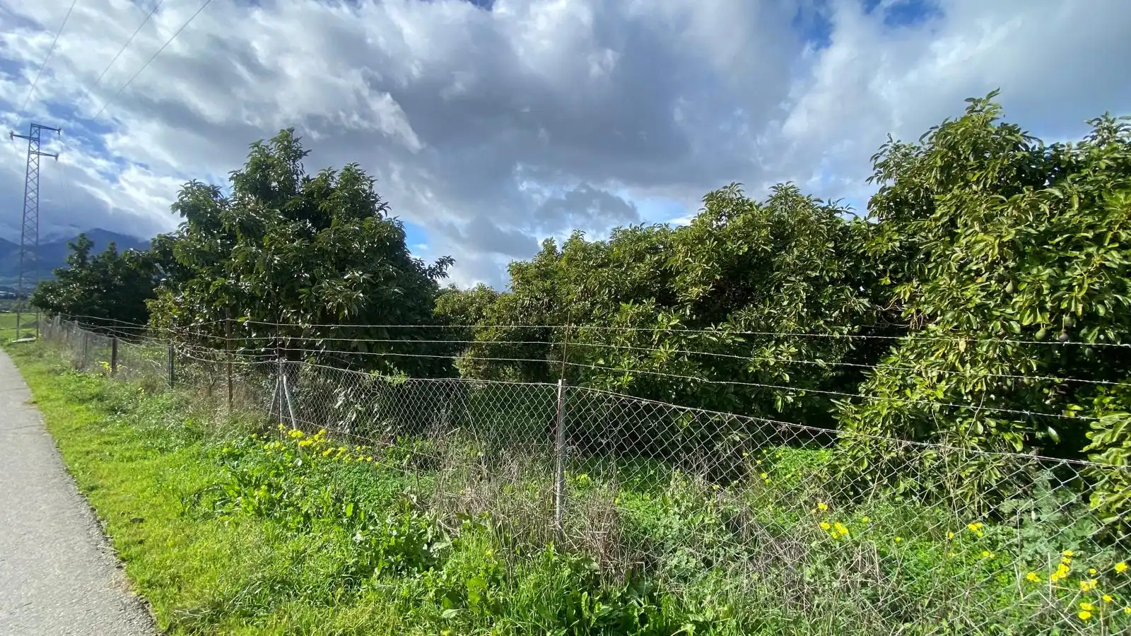 Terreno rustico in vendita a Alquería - Torrealquería, imagen 4