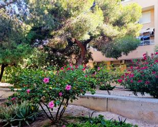 Garden of Apartment for sale in Santa Pola