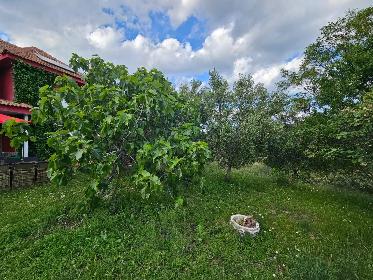 Houses for sale in Torremocha de Jarama  with Heating, Private garden and Terrace