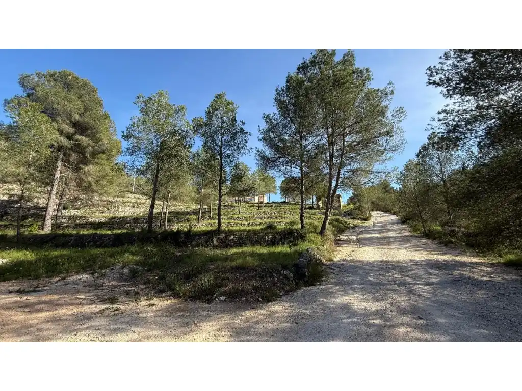 Casa o xalet en venda en Jávea / Xàbia