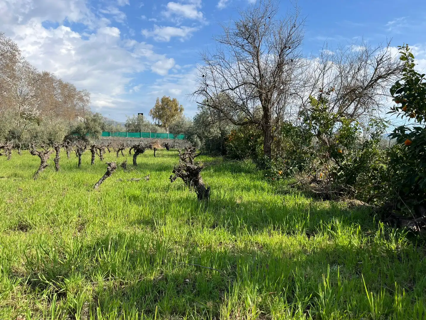 Land for sale in Dúrcal