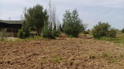 Photo 5 of Country house for sale in Rociana del Condado, Huelva