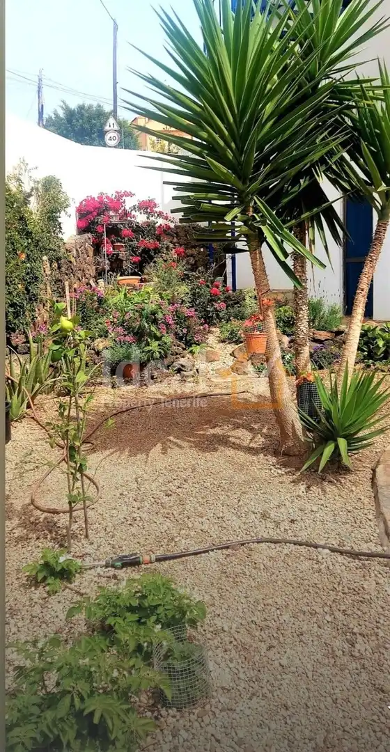Jardí de Casa o xalet en venda en Arona amb Jardí privat, Terrassa i Moblat