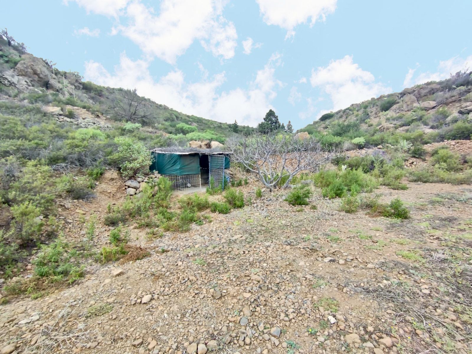 Country house for sale in Granadilla de Abona