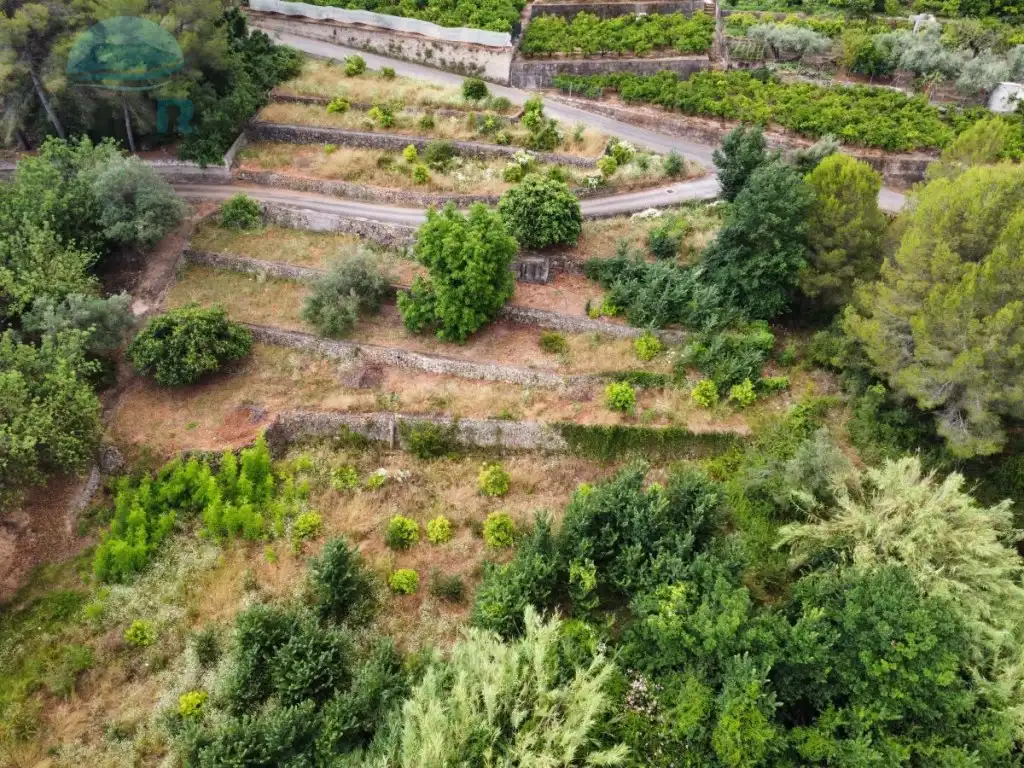 Rural land for sale in Partida Castello, imagen 6