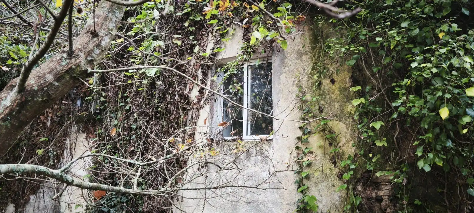 Terreny rústic en venda a Bouza (A)-Pontellas, imagen 15