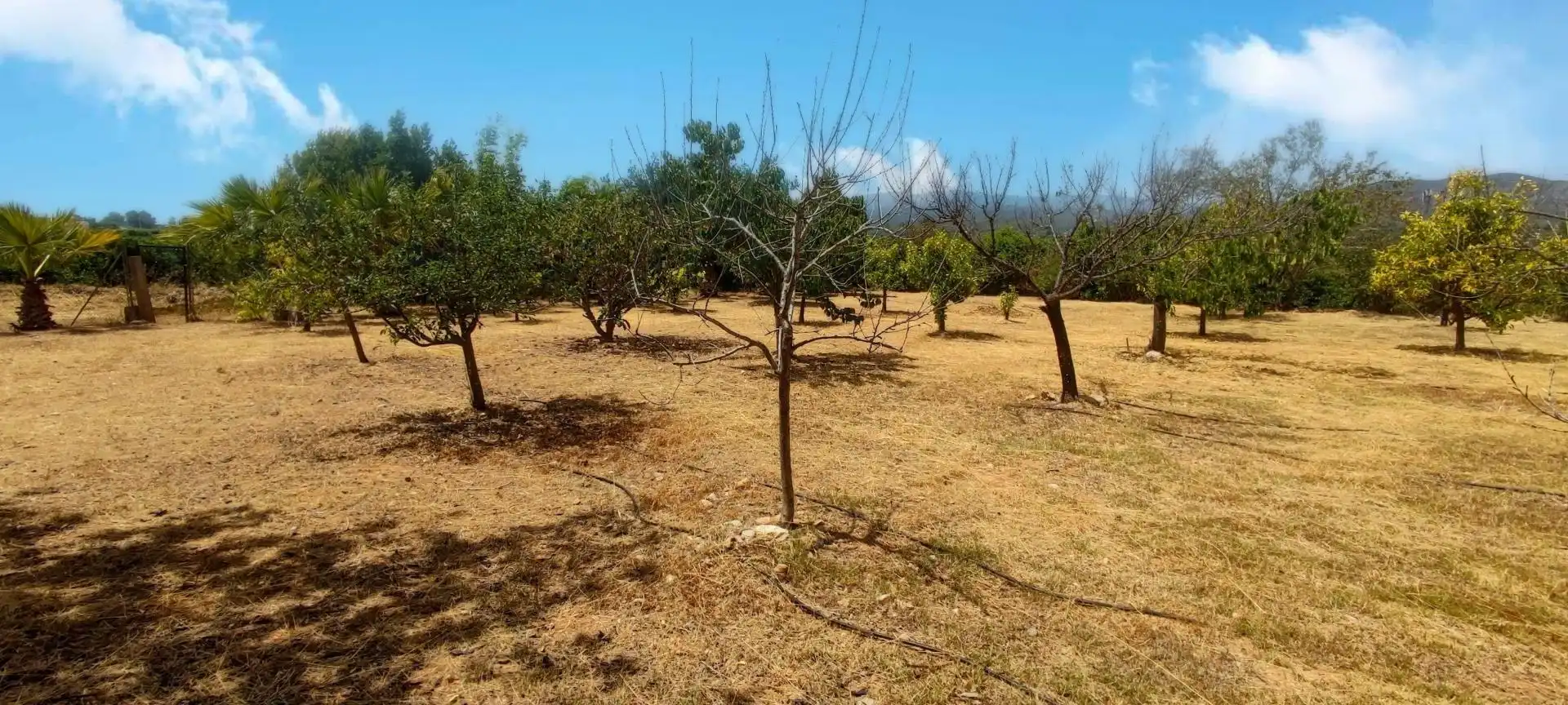 Country house with pool for sale in Pedralba, imagen 33