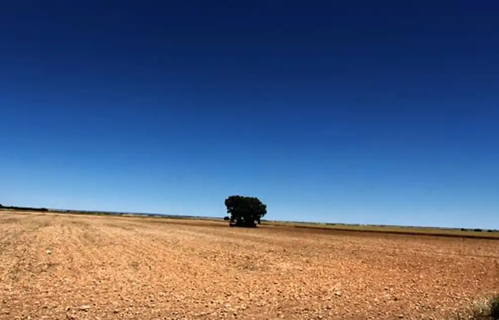 Terreny rústic en venda a La Roda, imagen 4