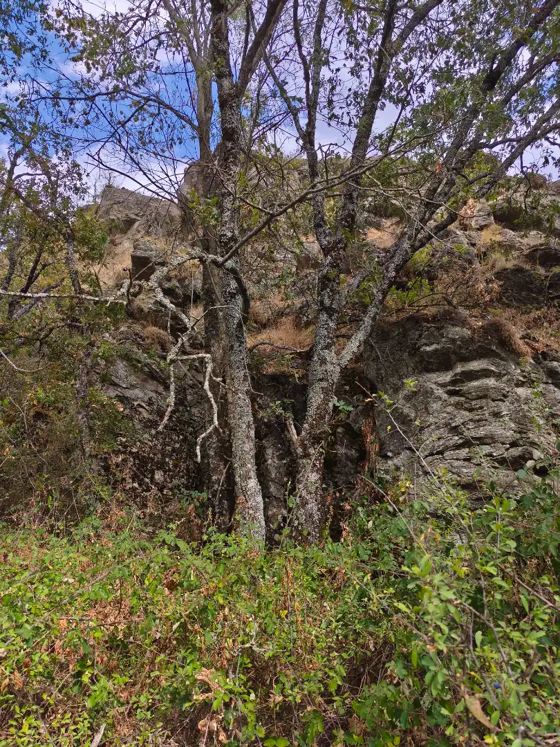 Vista exterior de Terreno en venta en Piñuécar-Gandullas