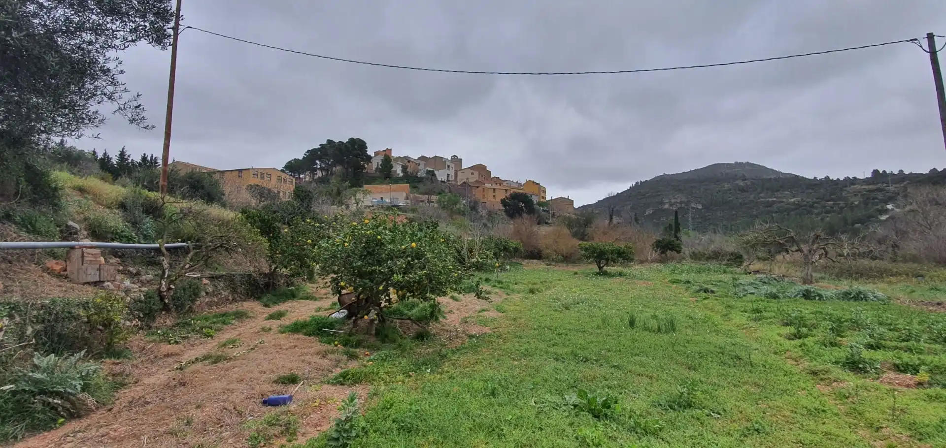 Casa o xalet en venda en Alfara de Carles