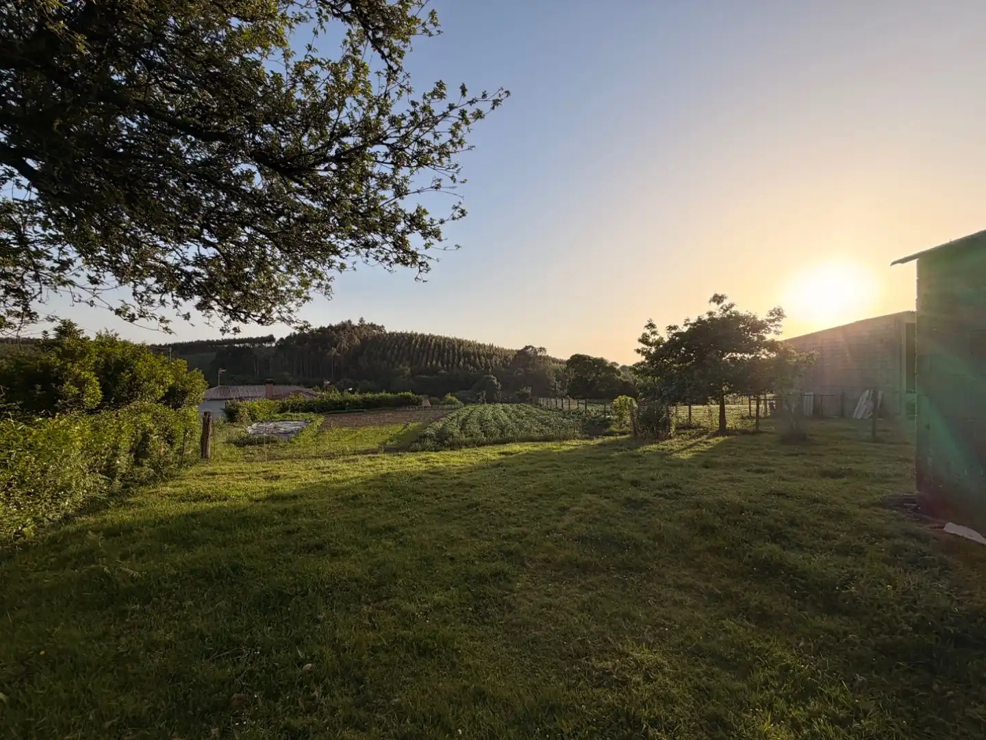 Garden of Residential for sale in Melide