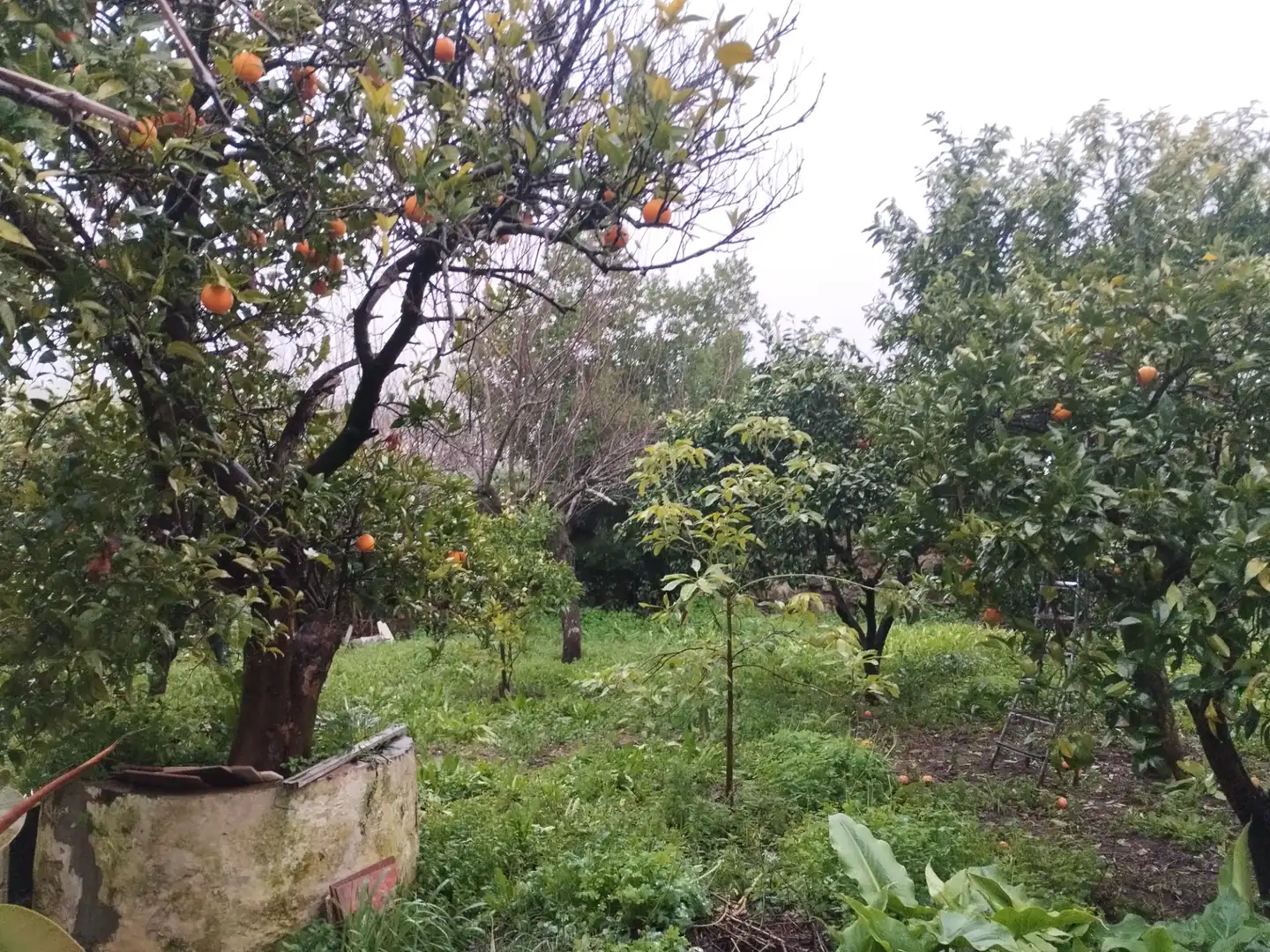 Planta baja en venta en Jerez de los Caballeros con Jardín privado y Trastero