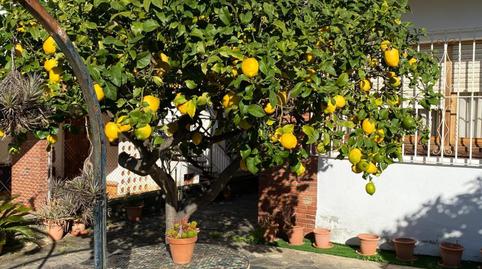 Foto 2 de Casa adosada en venda a Pinemar, Pineda de Mar