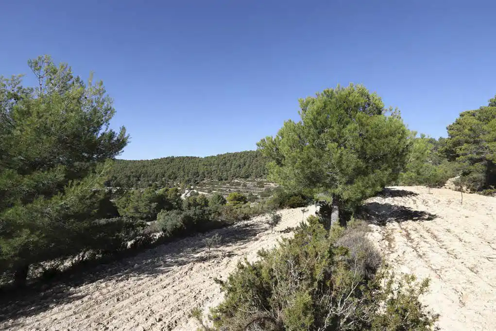 Casa rústica en venta en Torremanzanas / La Torre de les Maçanes, imagen 8