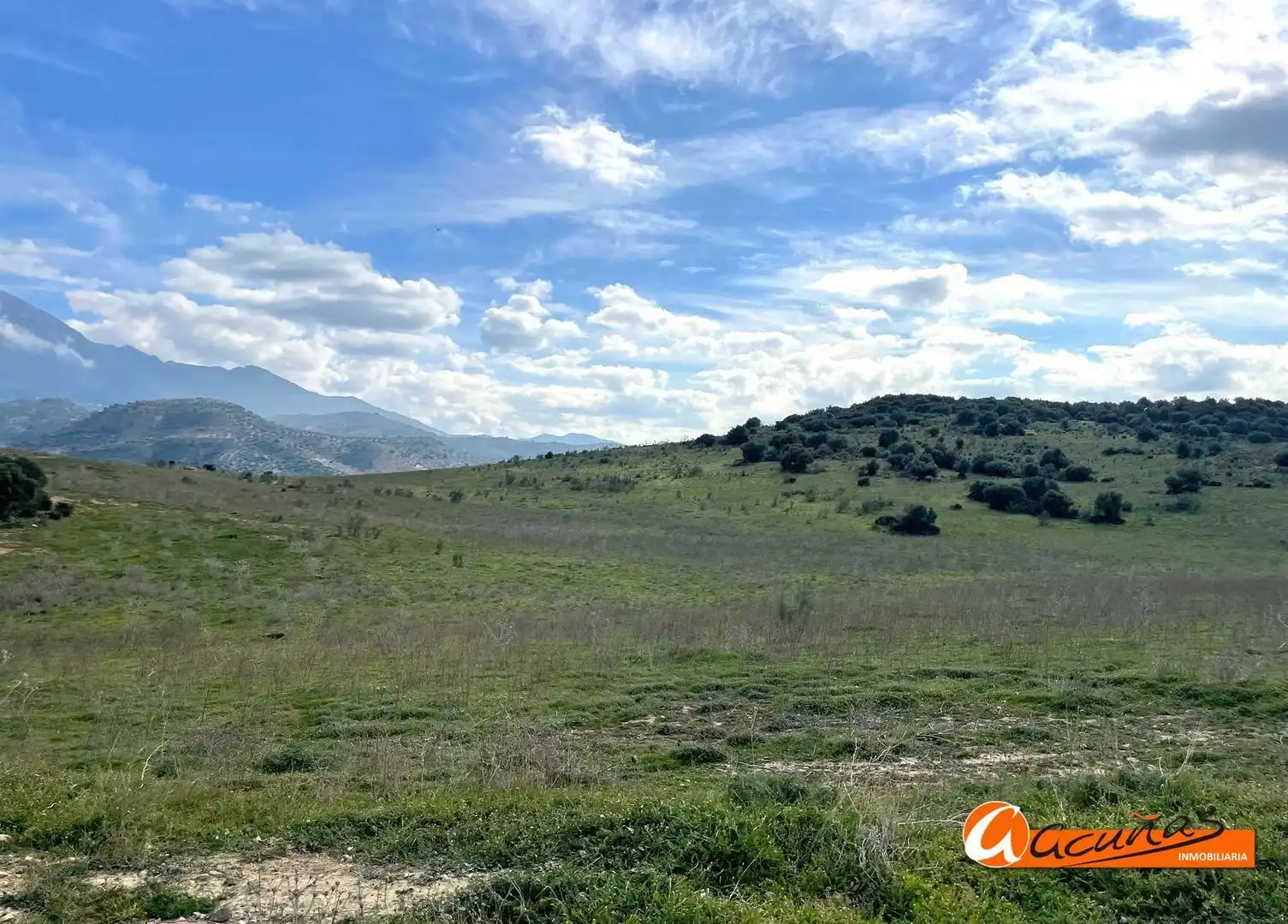 Rustikales Grundstück zum Verkauf in Cortijo Vílches, imagen 13