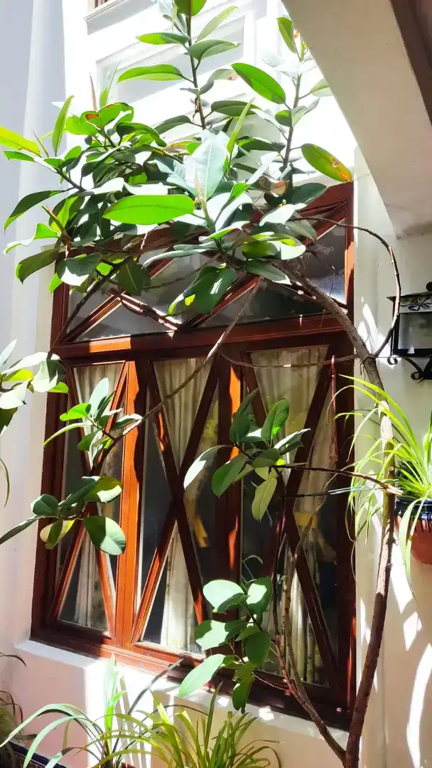 Balcony of Ground floor for sale in Enguera  with Balcony