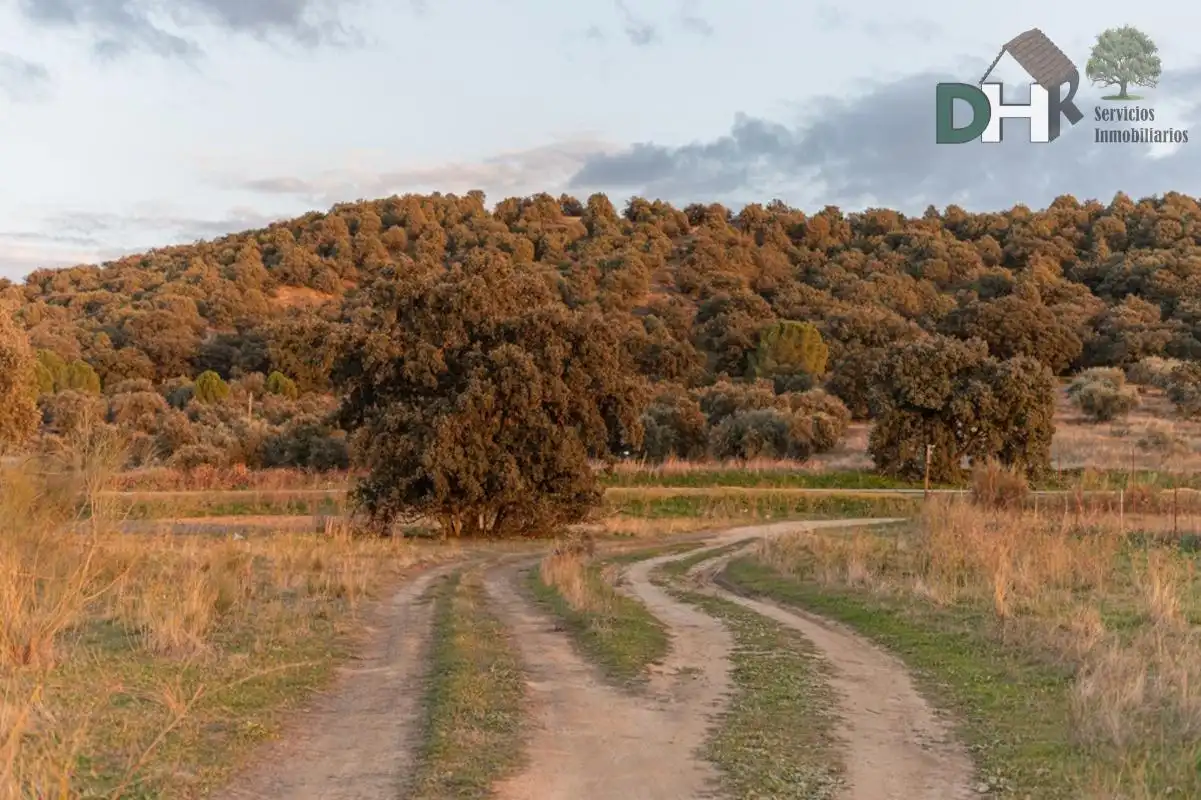 Grundstücke und Bauplätze zum Verkauf in Parque Boadilla, imagen 3
