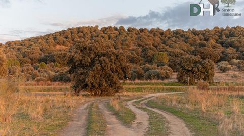 MadridTerreno, imagen 3