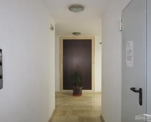 Pis en venda en Lucena amb Aire condicionat, Terrassa i Moblat