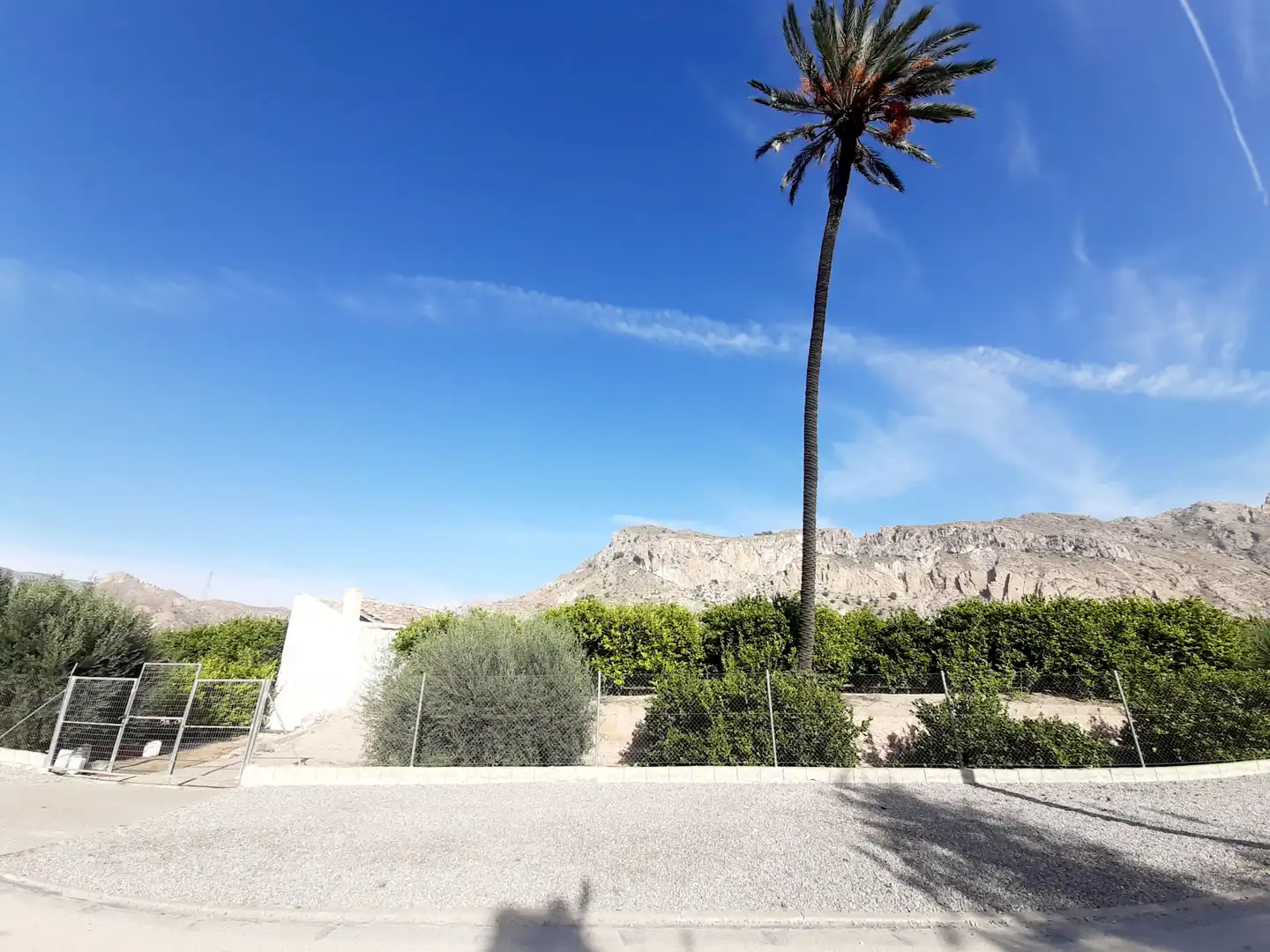Rural land for sale in Ulea, imagen 3