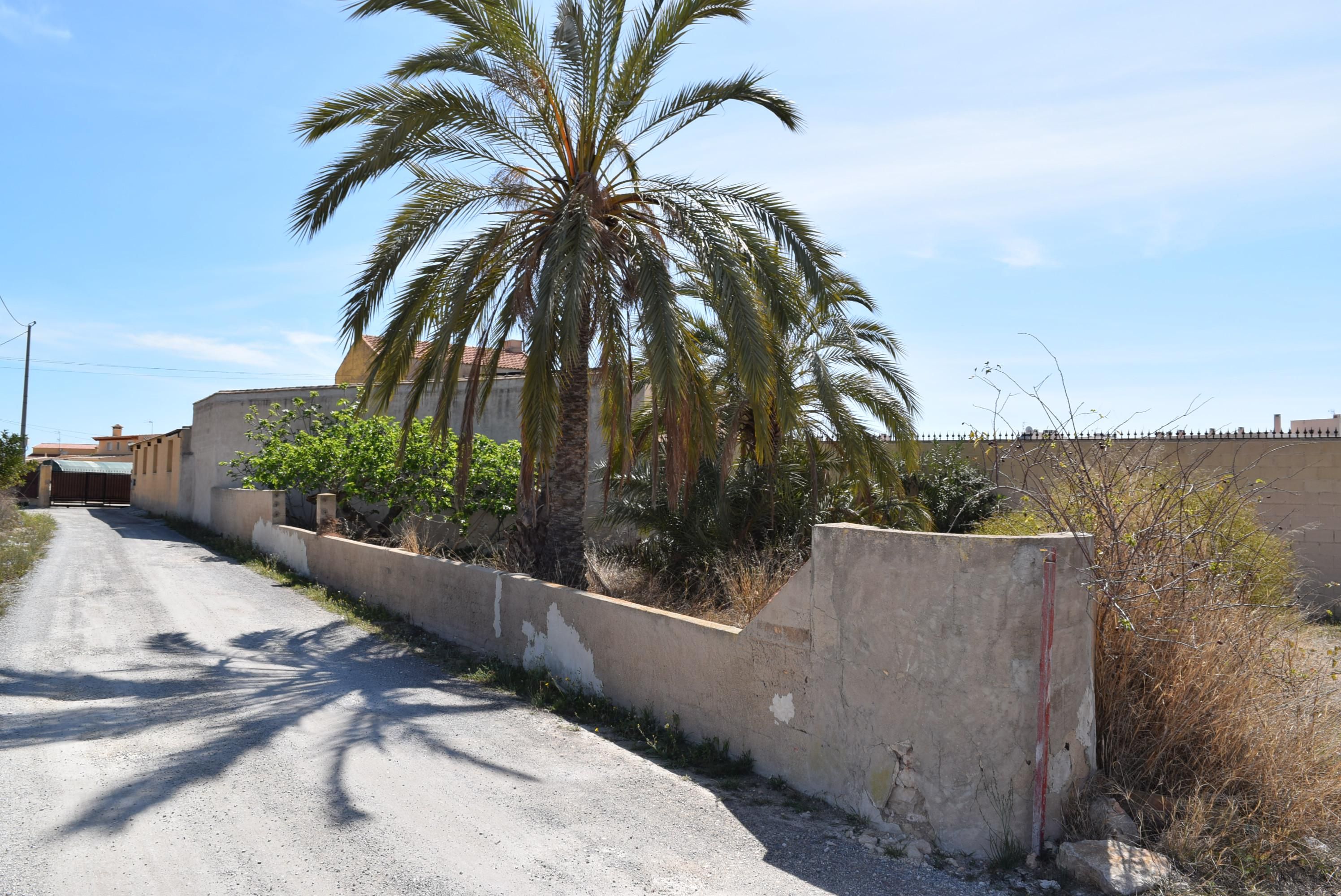 Exterior view of Single-family semi-detached for sale in Elche / Elx