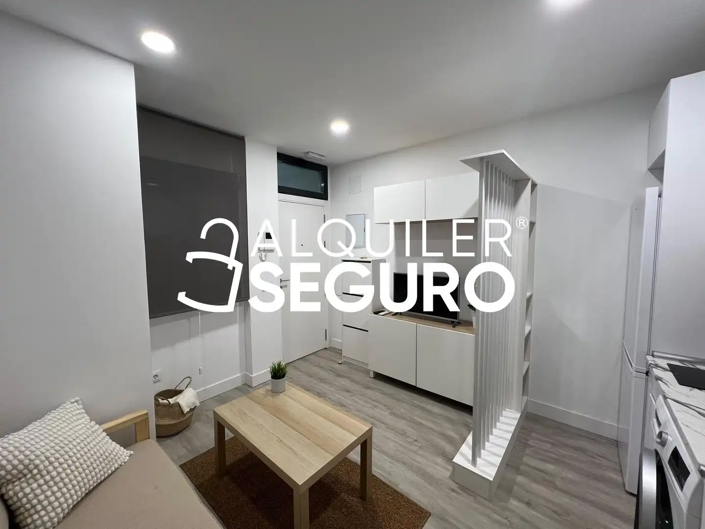 Loft con ascensore in affitto a del Puente Cultural, imagen 4