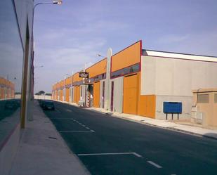 Exterior view of Industrial buildings for sale in Molina de Segura