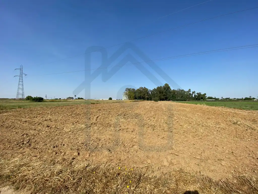 Terreni e lotti in vendita a Los Palacios y Villafranca