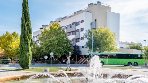 Foto 2 de Pis en venda a Avenida Joan Miró, 1, Soto del Henares, Torrejón de Ardoz